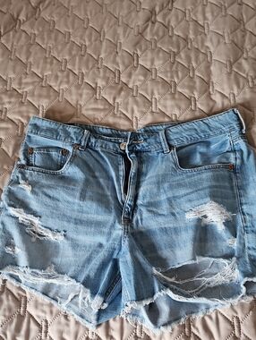American Eagle Outfitters Light Blue Distressed Denim Shorts